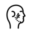 schwerpunkt-kiefer-cmd